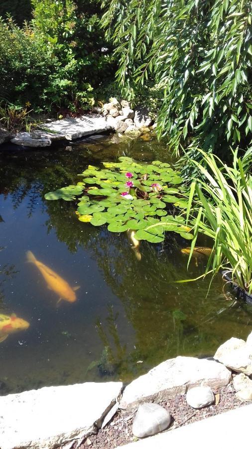 Le Jardin De Nemo Biscarrosse Exterior foto