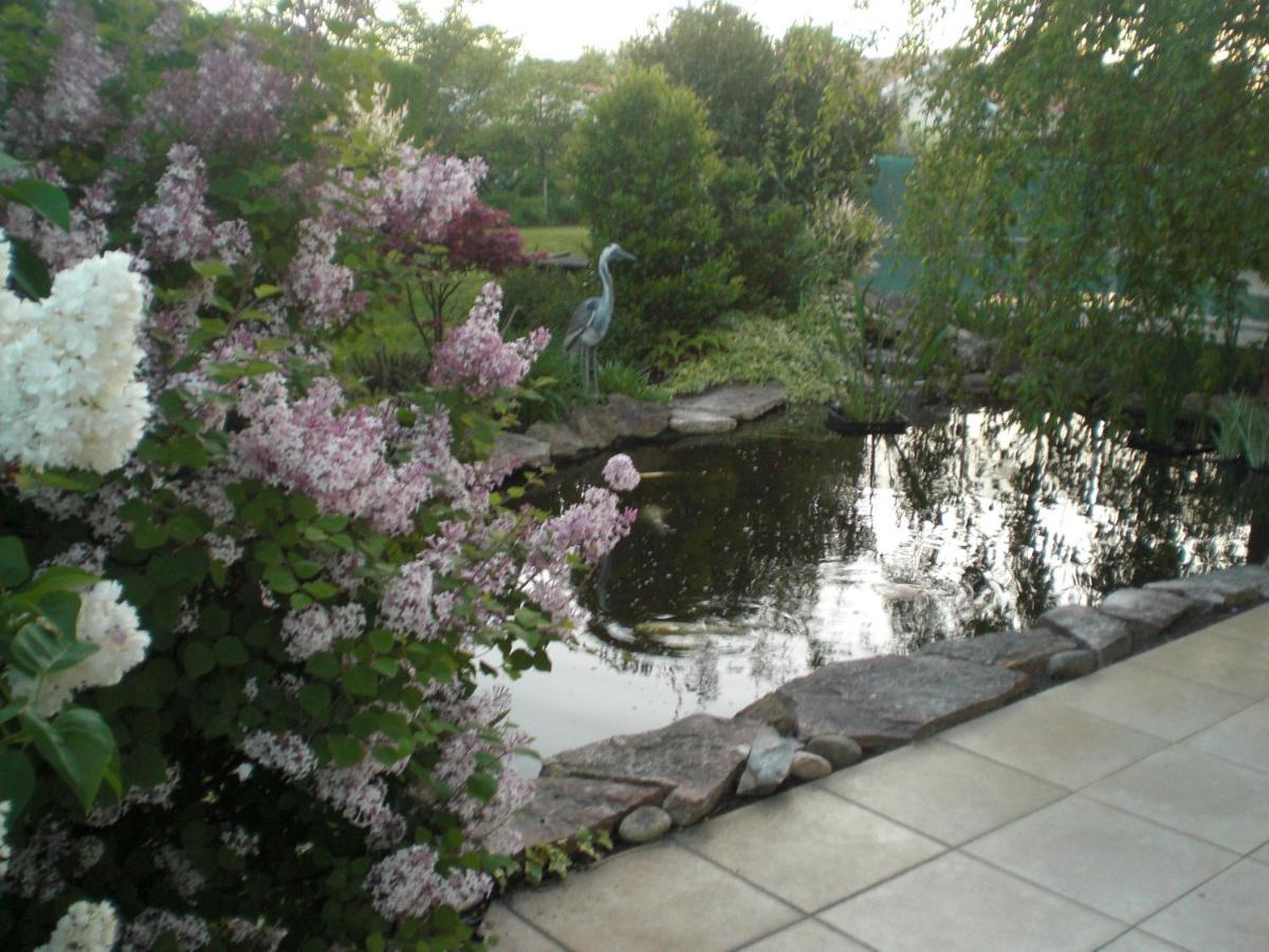 Le Jardin De Nemo Biscarrosse Exterior foto