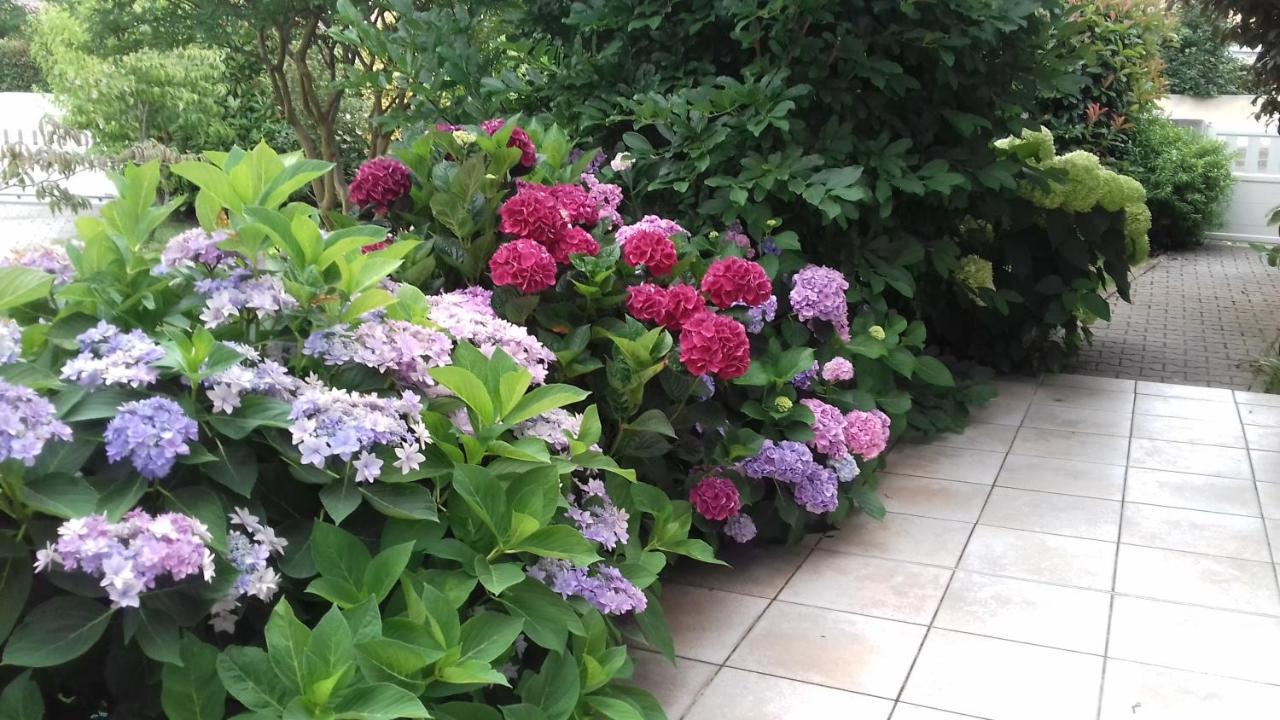 Le Jardin De Nemo Biscarrosse Exterior foto